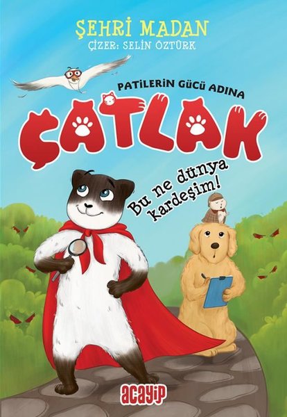 Çatlak! Patilerin Gücü Adına - Bu Ne Dünya Kardeşim