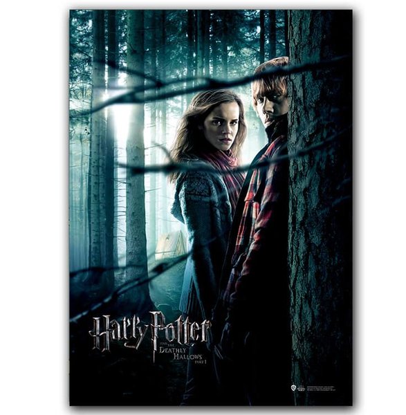 Wizarding World   Harry Potter Poster   Deathly Hallows P.1 Ron/Hermione B.