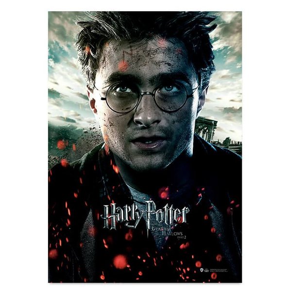 Harry Potter Wizarding World Deathly Hallows Part 2 Harry Poster