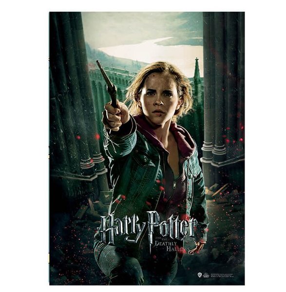 Harry Potter Wizarding World Deathly Hallows Part 2 Hermione Poster
