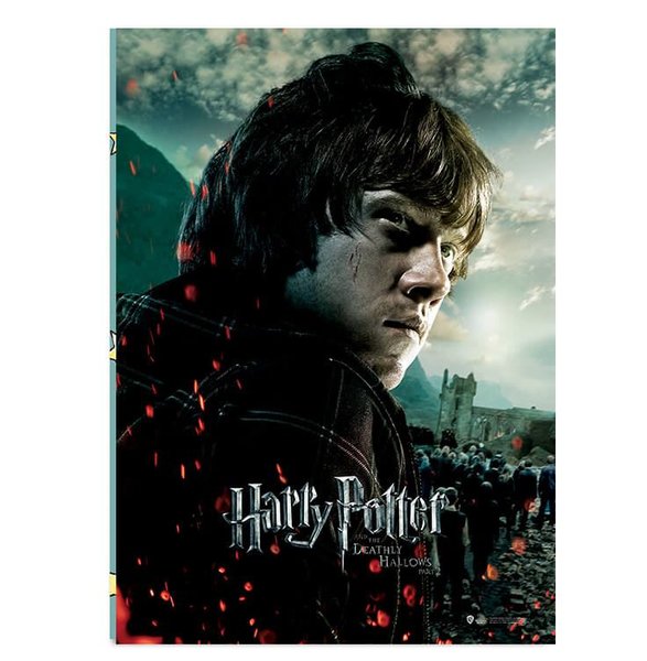 Wizarding World   Harry Potter Poster   Deathly Hallows P.2 Ron B.