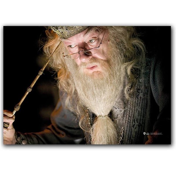 Wizarding World   Harry Potter Poster   Dumbledore B.