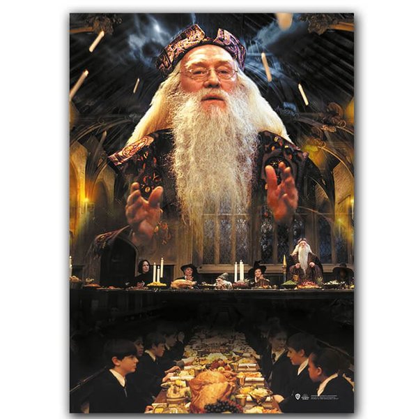 Harry Potter Wizarding World Dumbledore 2 Poster