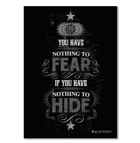Harry Potter Wizarding World Fear & Hide Poster