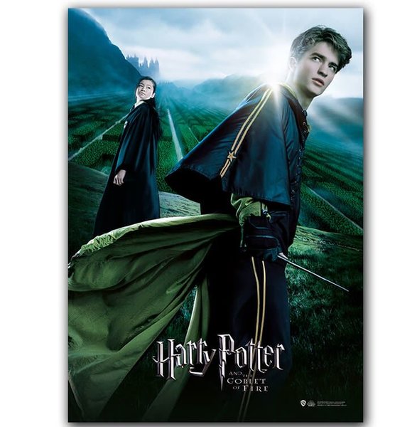 Wizarding World   Harry Potter Poster   Goblet of Fire Cedric B.