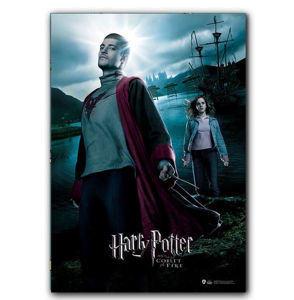 Wizarding World   Harry Potter Poster   Goblet of Fire Hermione B.