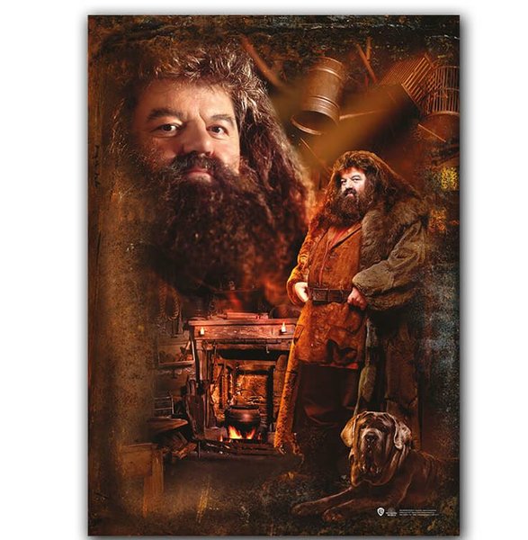 Harry Potter Wizarding World Hagrid 2 Poster