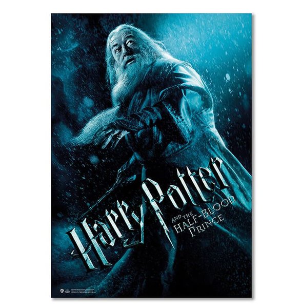 Harry Potter Wizarding World Half Blood Prince Dumbledore Poster