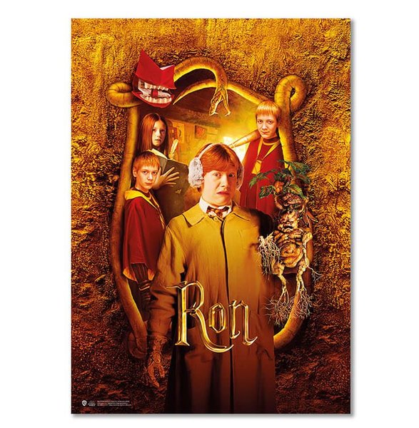 Wizarding World   Harry Potter Poster   Hogwarts Karakter Ron B.