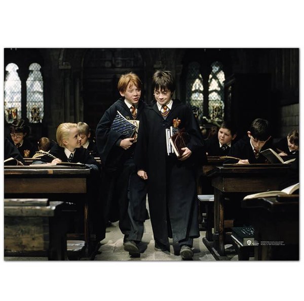 Harry Potter Wizarding World Sorcerer's Stone Harry ve Ron Poster