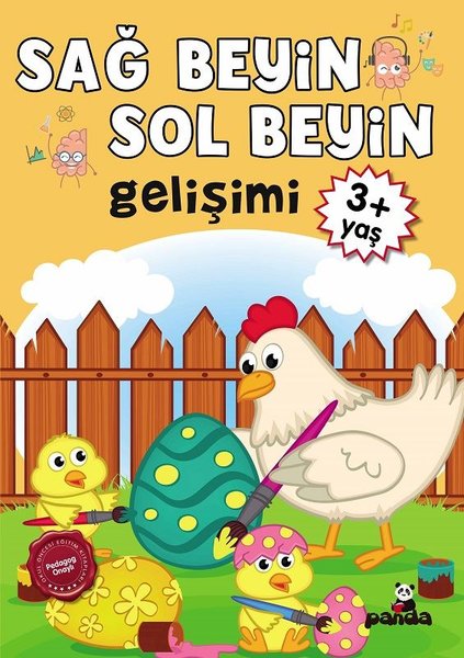 3 Yaş Sağ Beyin - Sol Beyin Gelişimi