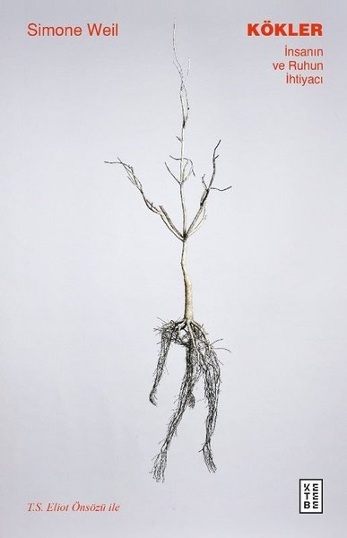 Kökler - İnsanın ve Ruhun İhtiyacı