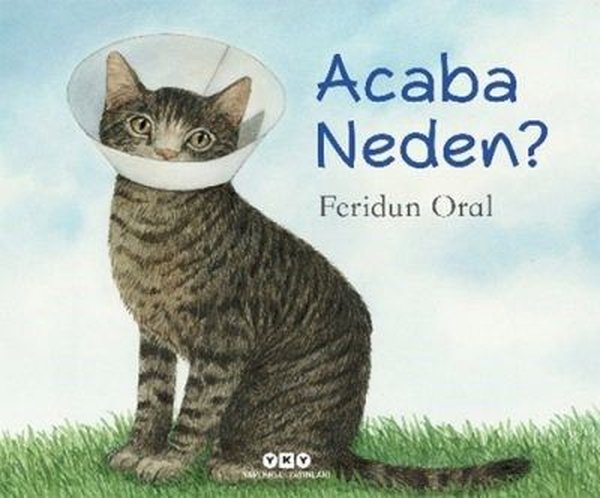 Acaba Neden?