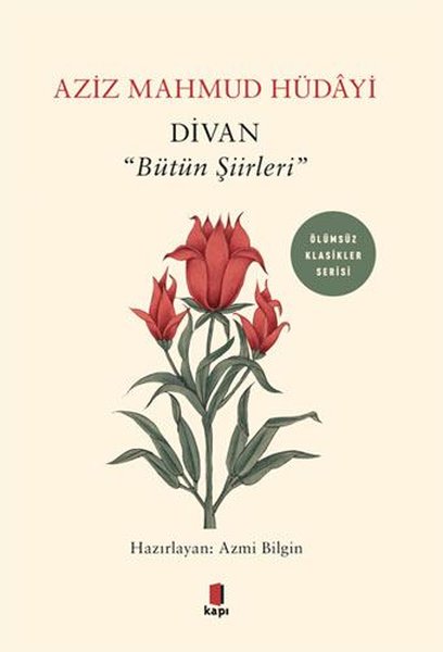 Divan-Bütün Şiirleri