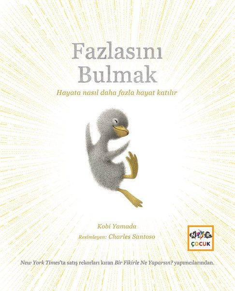 Fazlasını Bulmak