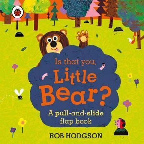 Is that you Little Bear?: A pull and slide flap book