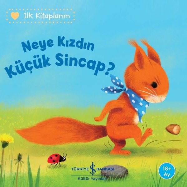 Neye Kızdın Küçük Sincap? - İlk Kitaplarım