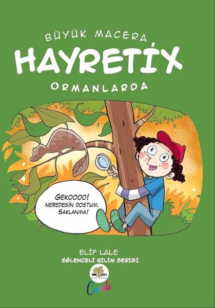 Büyük Macera - Hayretix Kutuplarda