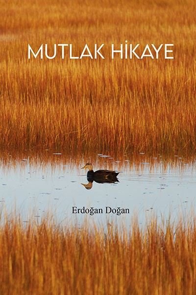 Mutlak Hikaye