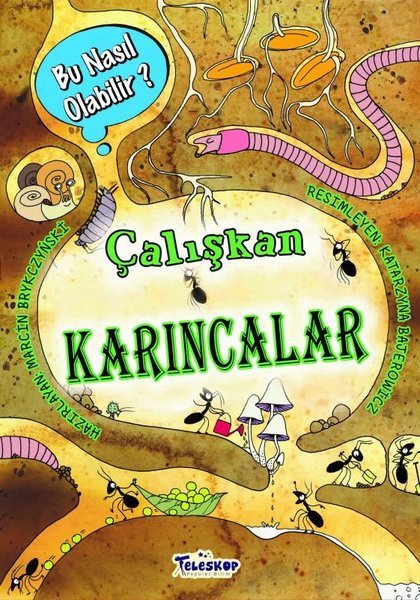 Çalışkan Karıncalar - Bu Nasıl Olabilir?