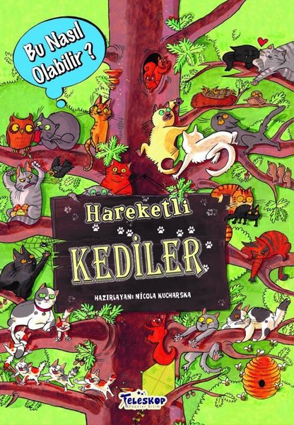 Hareketli Kediler - Bu Nasıl Olabilir?