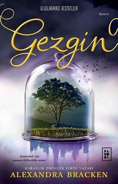 Gezgin - Yolcu Serisi 2.Kitap