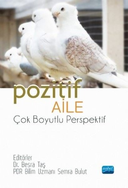 Pozitif Aile - Çok Boyutlu Perspektif