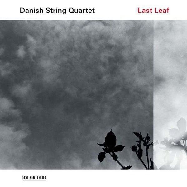 Danish String Quartet Last Leaf Plak