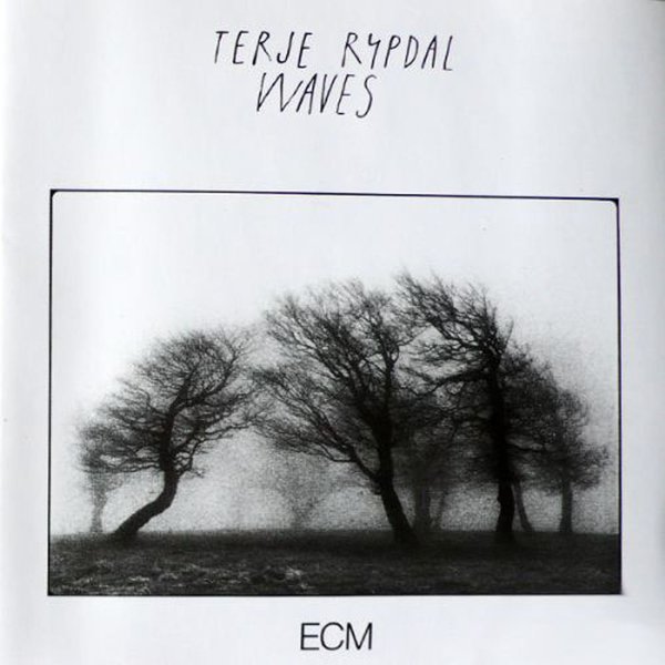 Terje Rypdal Waves Plak