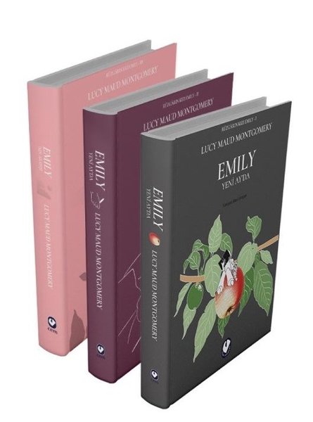 Rüzgarın Kızı Emily Serisi Seti - 3 Kitap Takım