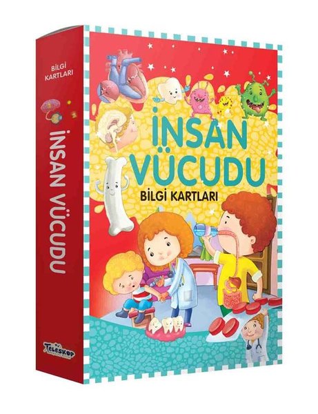 İnsan Vücudu - Bilgi Kartları