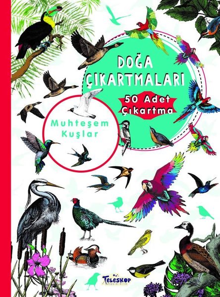 Muhteşem Kuşlar - Doğa Çıkartmaları