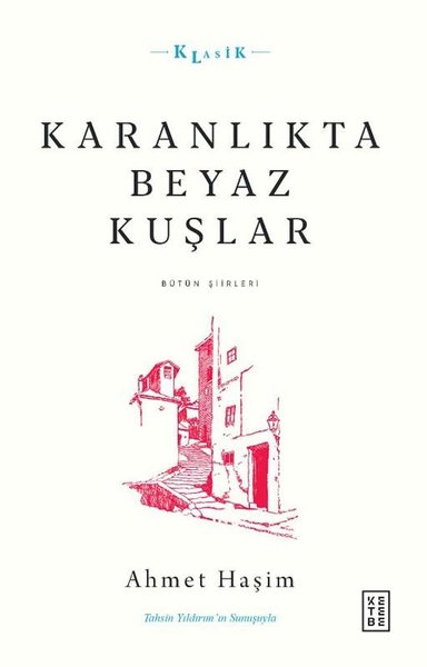 Karanlıkta Beyaz Kuşlar - Bütün Şiirleri