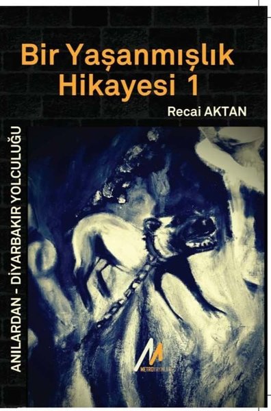 Bir Yaşanmışlık Hikayesi 1 - Anılardan Diyarbakır Yolculuğu