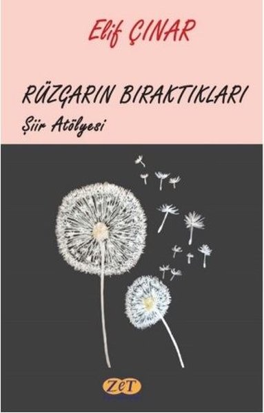 Rüzgarın Bıraktıkları - Şiir Atölyesi