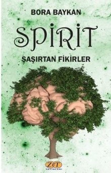 Spirit Şaşırtan Fikirler