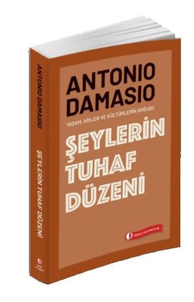 Şeylerin Tuhaf Düzeni