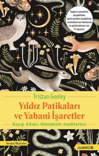 Yıldız Patikaları ve Yabani İşaretler - Kayıp Altıncı Hissimizin Anahtarları