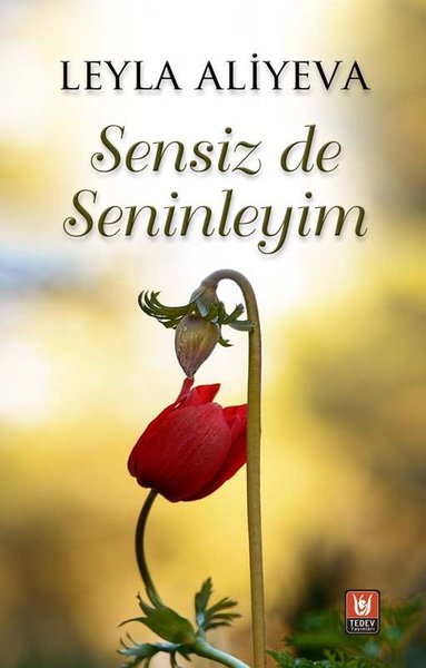 Sensiz de Seninleyim