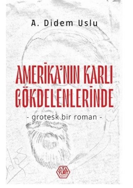 Amerika'nın Karlı Gökdelenlerinde - Grotesk Bir Roman