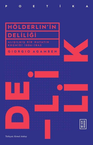 Hölderlin'in Deliliği - Alışılmış Bir Hayatın K...