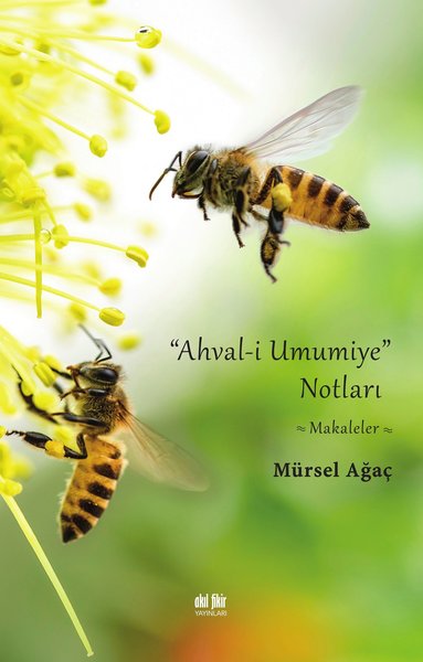 Ahval-i Umumiye Notları - Makaleler