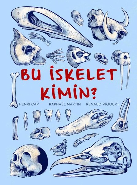 Bu İskelet Kimin?