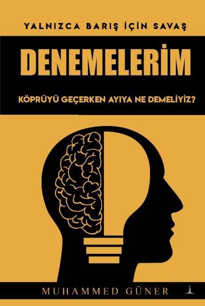 Denemelerim - Köprüyü Geçerken Ayıya Ne Demeliyiz?