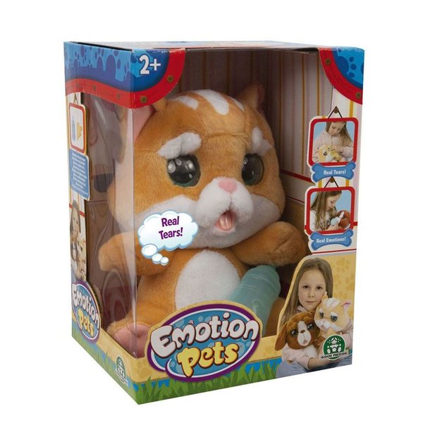 Emotion Pets Evcil Hayvanlar - Kedi