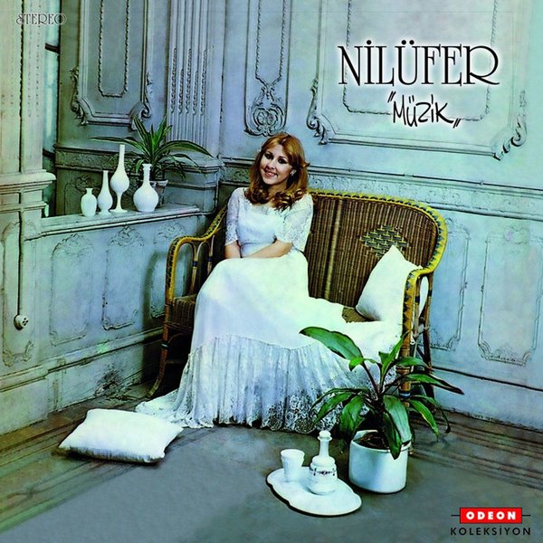 Nilüfer Müzik Plak