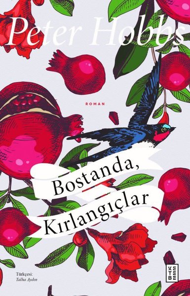 Bostanda Kırlangıçlar