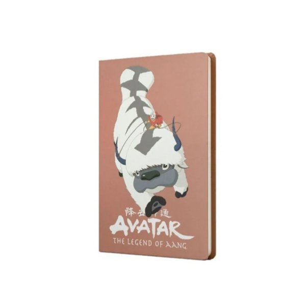 Avatar Appa ve Aang Sert Kapak Butik Defter Puce Rengi 80 Yaprak 15 x 21 388210