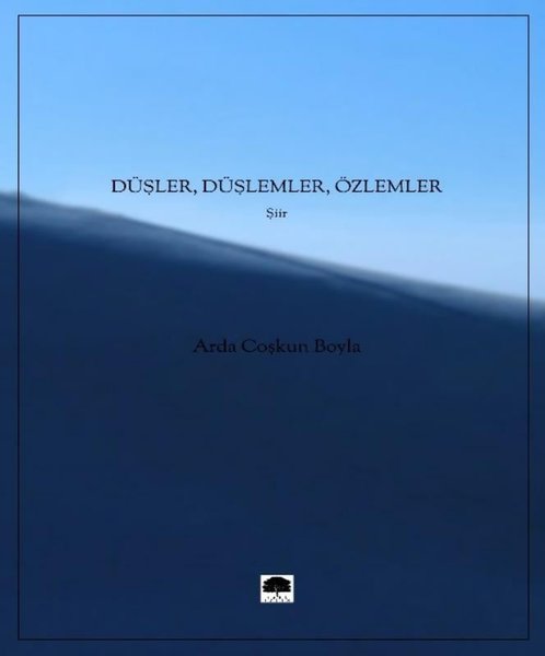 Düşler Düşlemler Özlemler