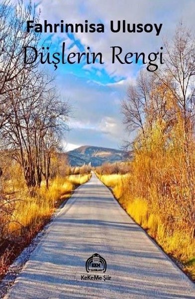 Düşlerin Rengi